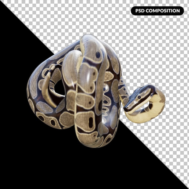 Renderizado aislado de animales serpientes en 3D