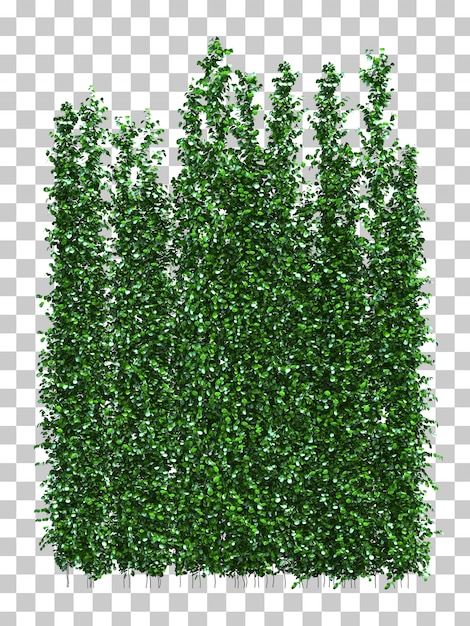 Rendição 3d da planta de escalada