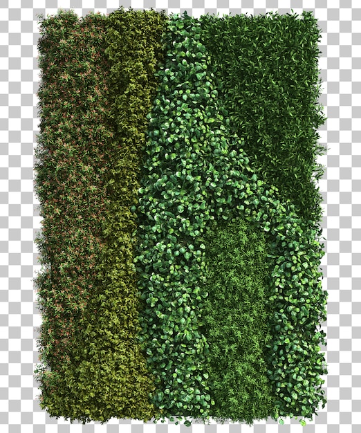 PSD rendição 3d do jardim vertical