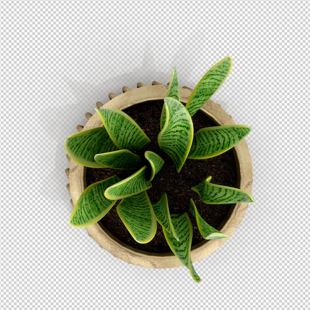 Rendição isométrica da planta 3d