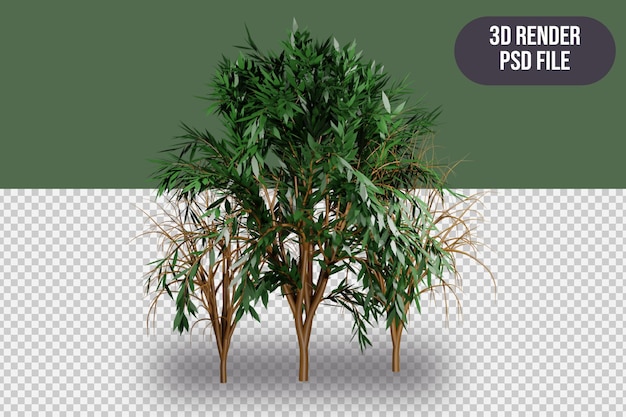 Rendu 3d Arbre Objet De Rendu 3d