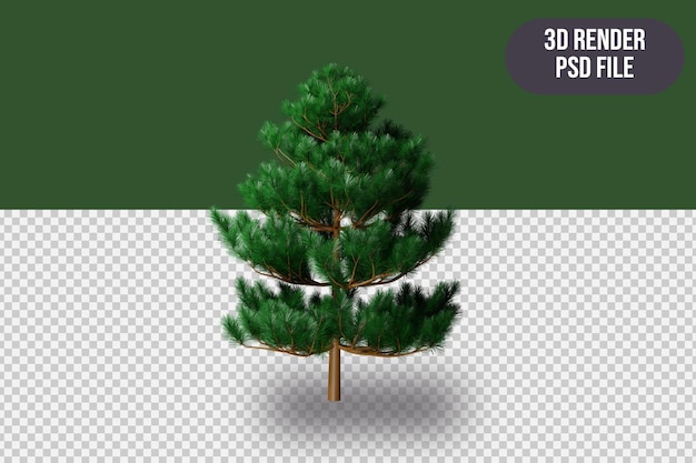 PSD rendu 3d arbre rendu premium