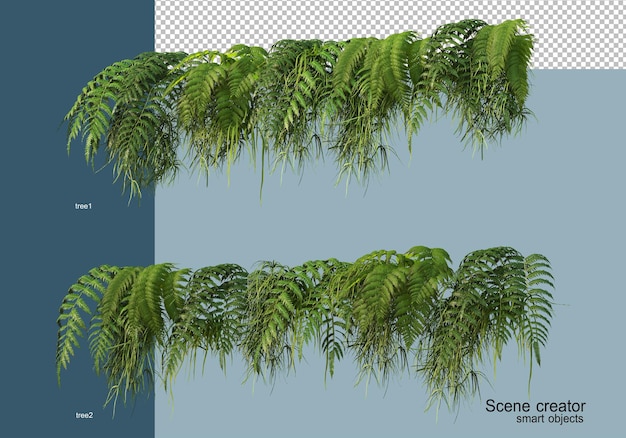 PSD rendu 3d d'arbustes à fleurs isolés