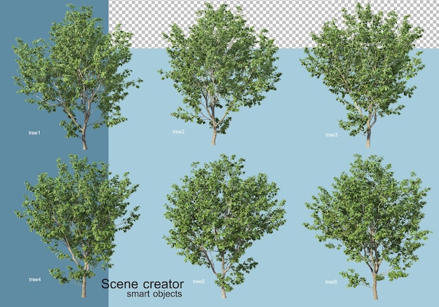 Rendu 3d De L'arrangement Des Arbres Et Des Fleurs