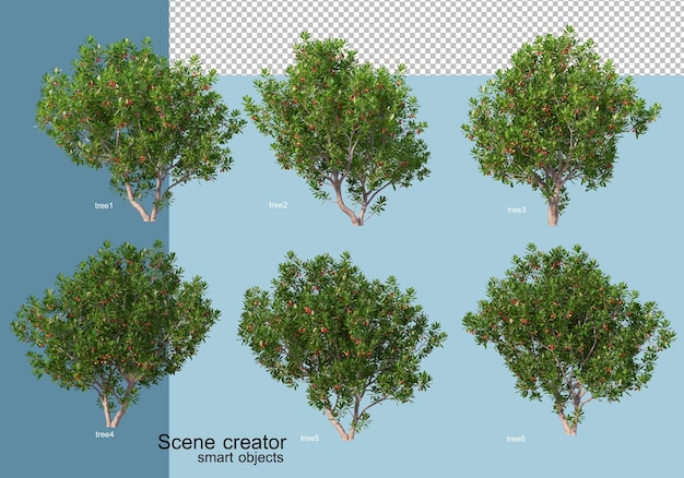 Rendu 3d De L'arrangement Des Arbres Et Des Fleurs