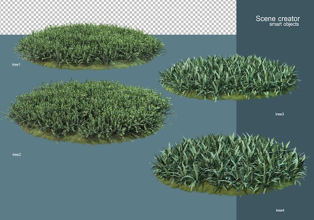Rendu 3D de l'arrangement de champ de fleurs