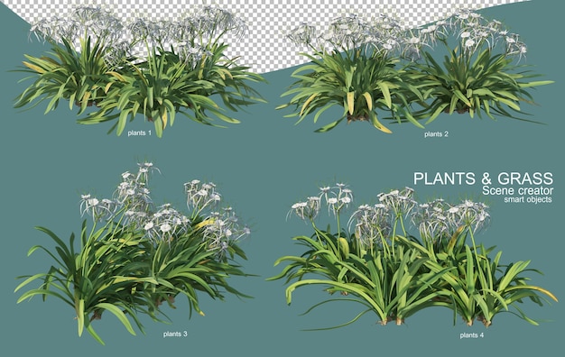 Rendu 3d Des Arrangements D'herbe Et D'arbustes