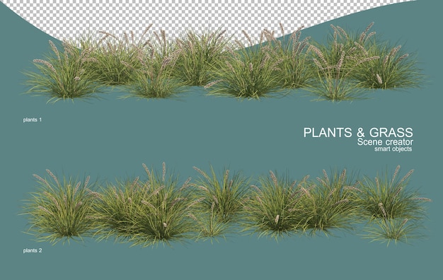 Rendu 3D des arrangements d'herbe et d'arbustes
