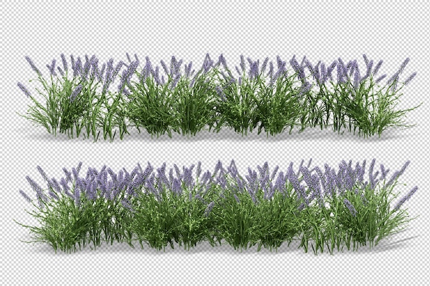 rendu 3D d'arrangements d'herbes et d'arbustes