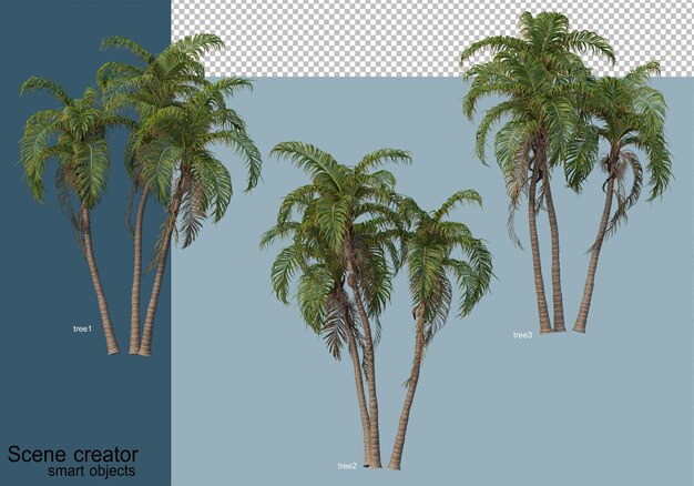 Rendu 3D de beaux arbres sous différents angles isolés