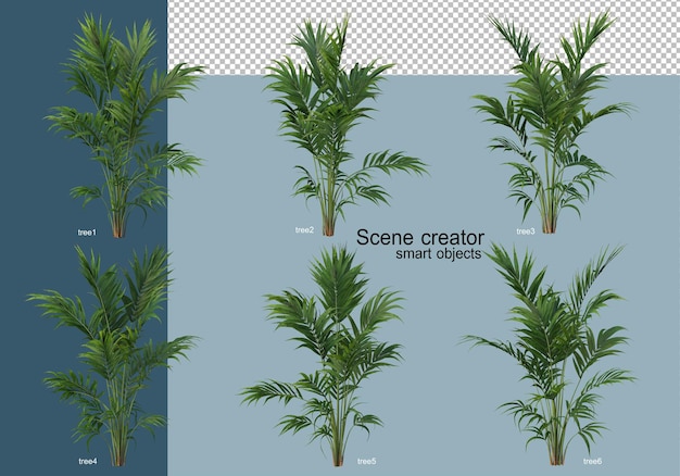 Rendu 3D de beaux arbres sous différents angles isolés
