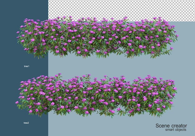 Rendu 3D de beaux arbustes sous différents angles isolés