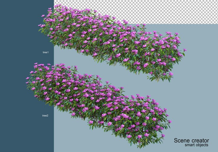 Rendu 3D de beaux arbustes sous différents angles isolés