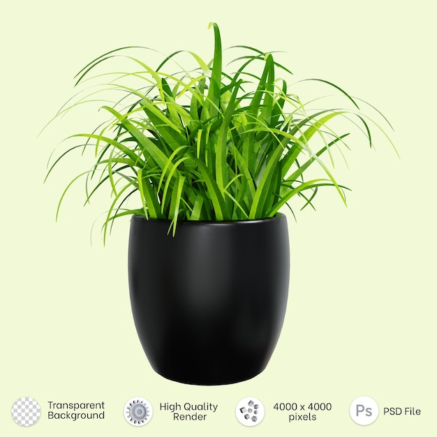 Rendu 3d D'une Belle Plante Herbacée Dans Un Pot En Céramique Noire