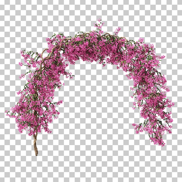 Rendu 3d De Bougainvilliers