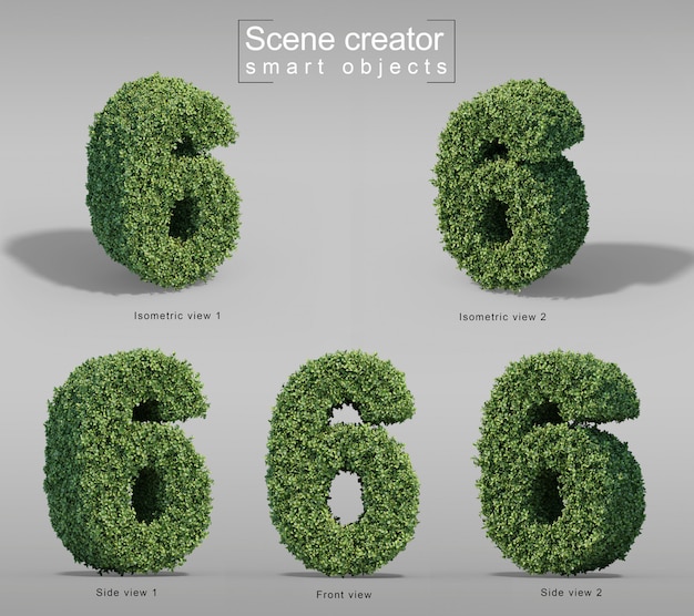 PSD rendu 3d de buxus numéro 6