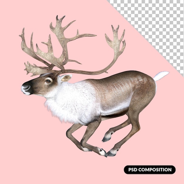 PSD rendu 3d cerf zoo animal isolé psd premium