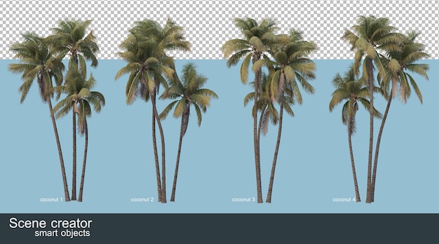 PSD le rendu 3d des cocotiers et des palmiers