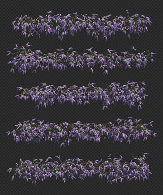 PSD rendu 3d de la collection d'arbres queen's wreath