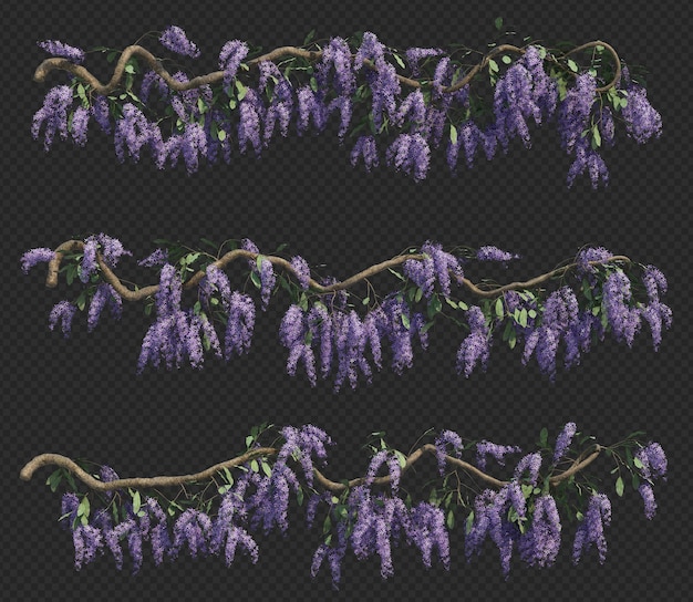 PSD rendu 3d de la collection d'arbres queen's wreath