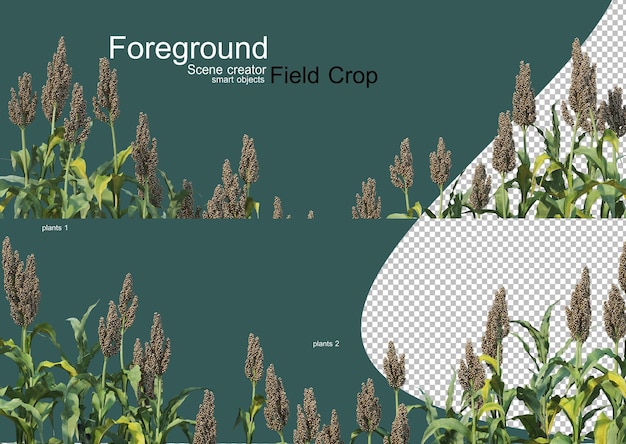 Rendu 3d De Différents Types D'agronomie