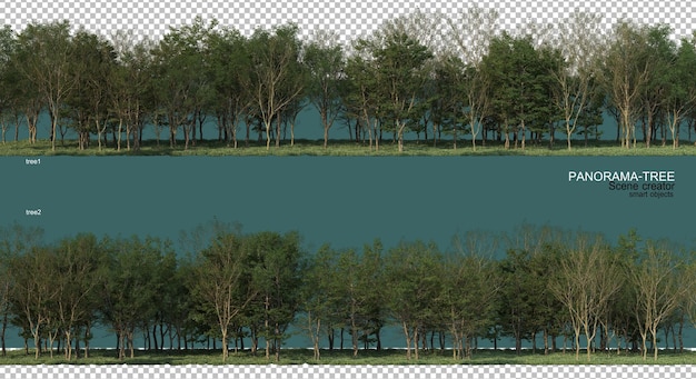 Rendu 3D de la disposition des arbres grand angle