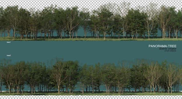 Rendu 3d De La Disposition Des Arbres Grand Angle