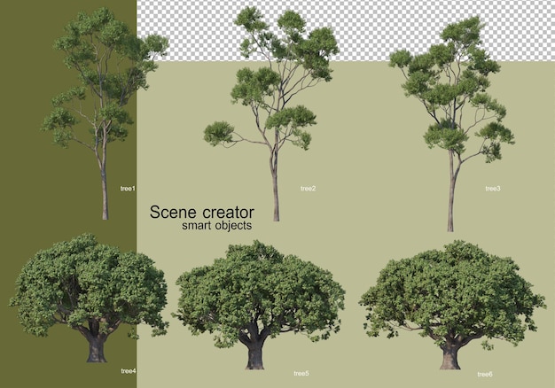 Rendu 3d De Divers Arbres Isolés