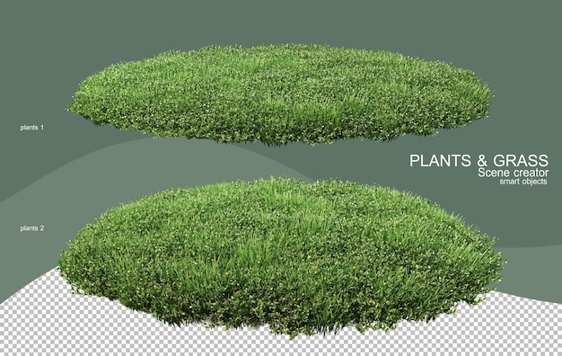 Rendu 3D de divers types d'arrangements de brousse