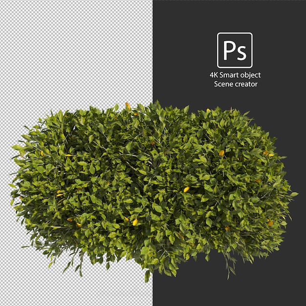 rendu 3d de divers types d'arrangements de buissons et de haies