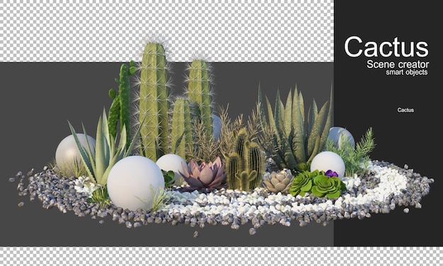 PSD rendu 3d de divers types d'arrangements de cactus