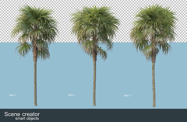 Rendu 3D de divers types de palmiers