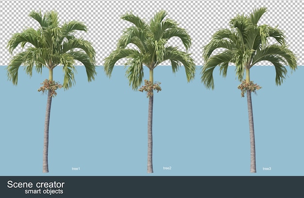 Rendu 3D de diverses espèces d'arbres