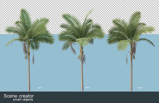 PSD rendu 3d de diverses espèces d'arbres