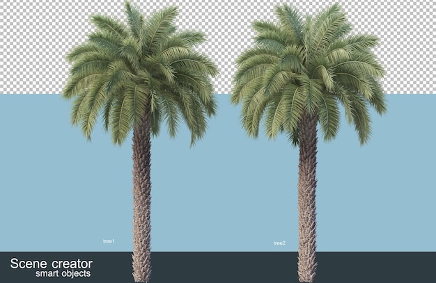 PSD rendu 3d de diverses espèces d'arbres