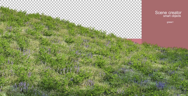 PSD rendu 3d de diverses herbes