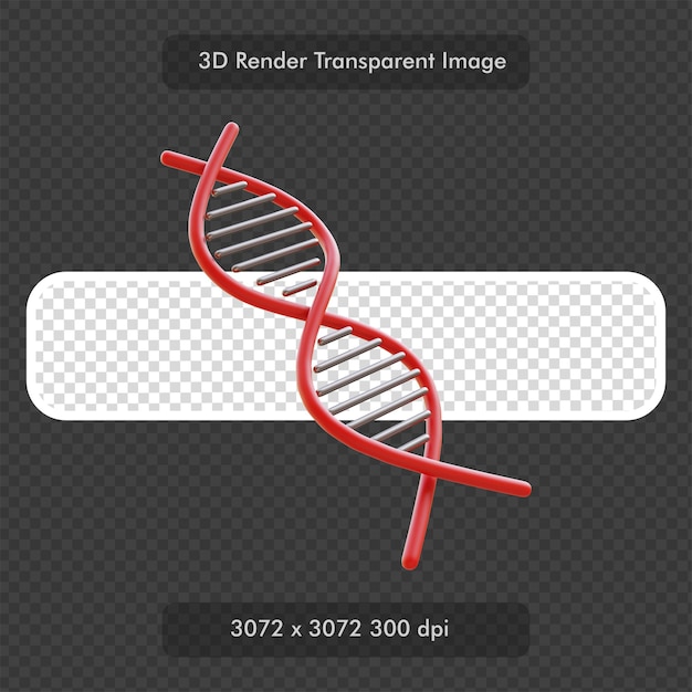 Rendu 3d Double Hélice Adn