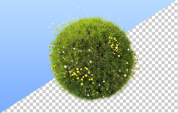 PSD rendu 3d du cercle d'herbe sphère d'herbe avec des pissenlits