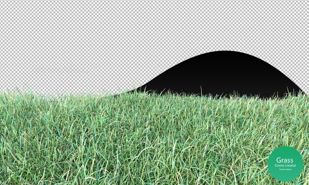 PSD rendu 3d du champ d'herbe