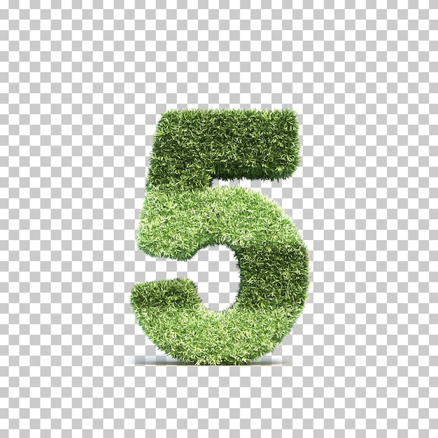 Rendu 3D du terrain de jeu d'herbe numéro 5