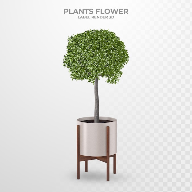 Rendu 3d De Fleurs D'intérieur De Plantes