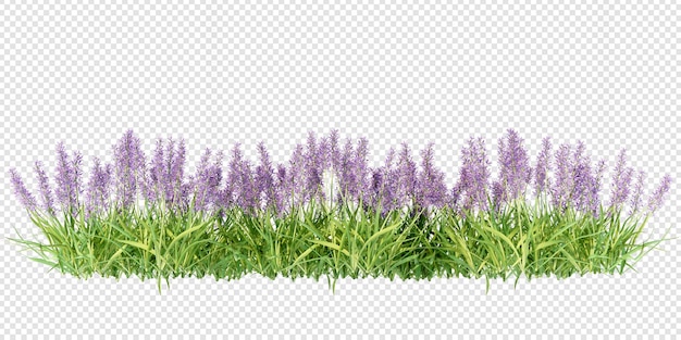 PSD rendu 3d de fleurs isolées