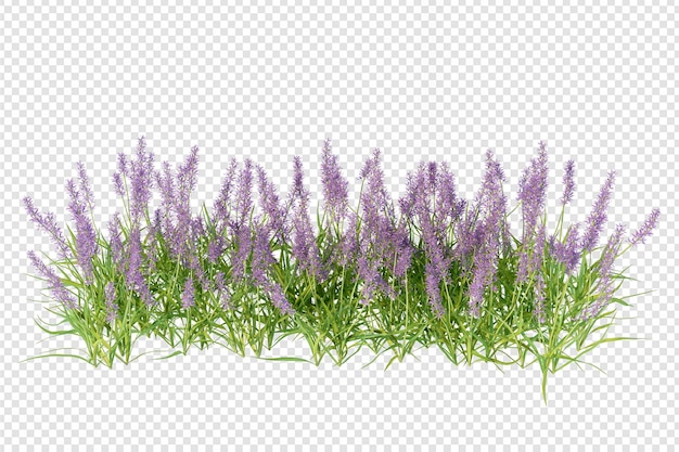 PSD rendu 3d de fleurs isolées