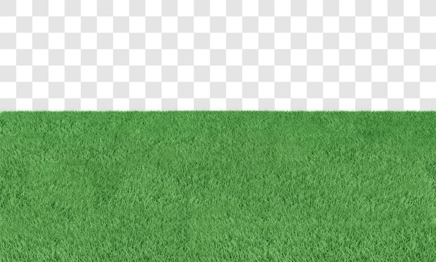 PSD rendu 3d d'herbe verte