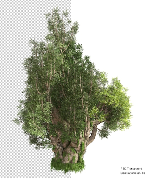 Rendu 3d Isolé Arbre Fantastique