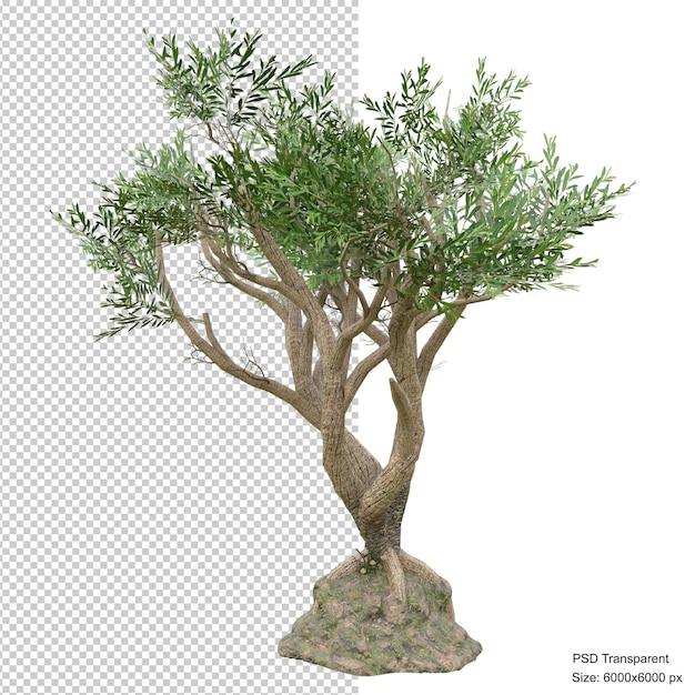 Rendu 3d isolé arbre fantastique