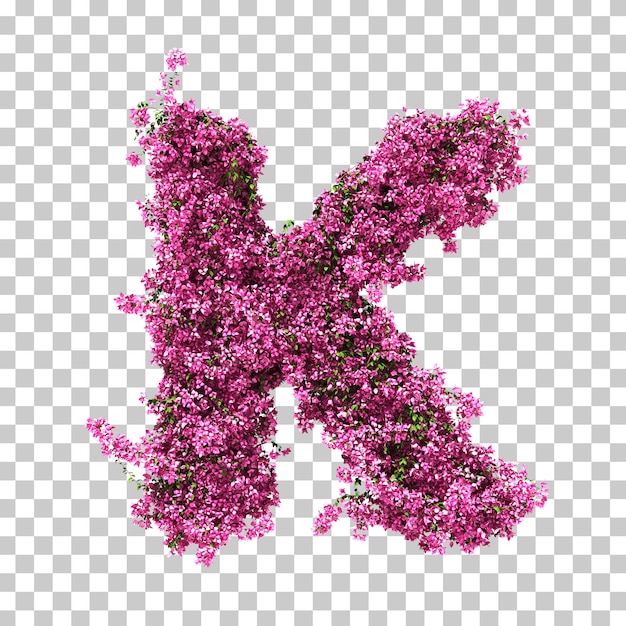 Rendu 3D de la lettre K de Bougainvilliers