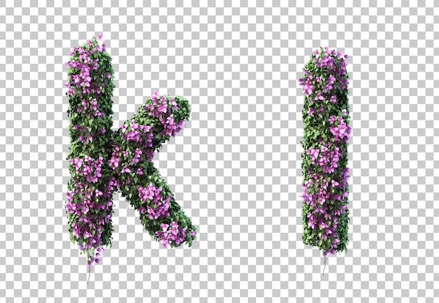 Rendu 3d De La Lettre K Et De La Lettre L De Bougainvilliers