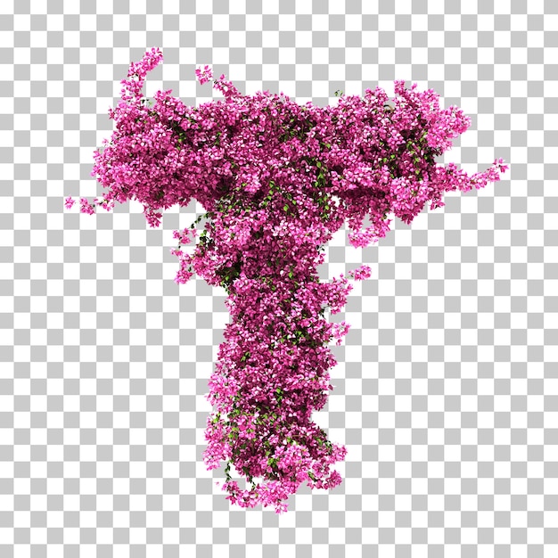 Rendu 3d De La Lettre T De Bougainvilliers