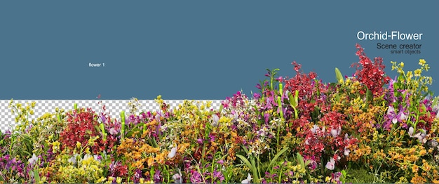 Un rendu 3D d'orchidées colorées